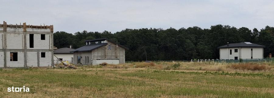 Teren de 6100 mp, în Cernica