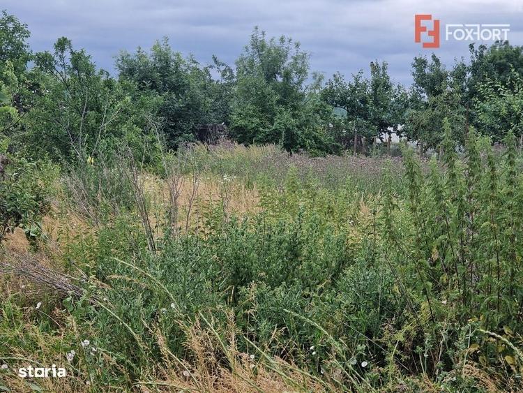 Spațiu comercial, în Central