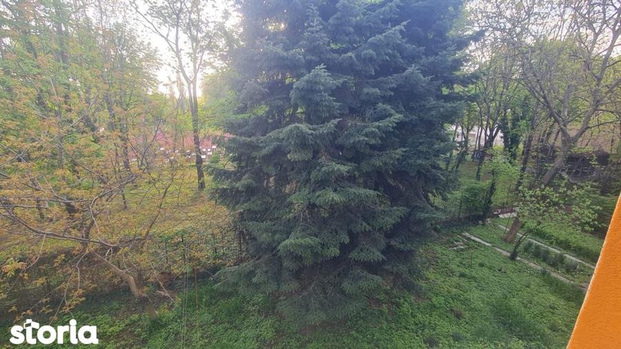 Apartament cu 3 camere, mobilat în Pajura