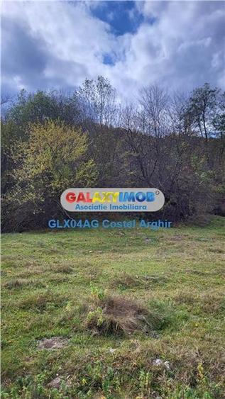 Teren extravilan de 20000 mp, în Caragiale