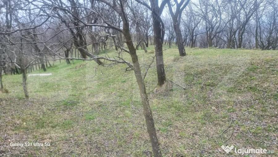 Teren în Schiulești