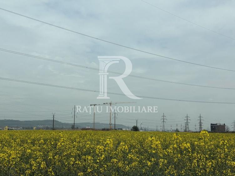 Teren Construcții intravilan de 28933 mp, în Nufărul