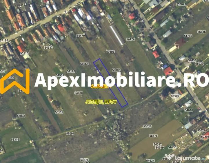 Teren intravilan de vanzare Cornetu IF | ApexImobiliare.ro - 5