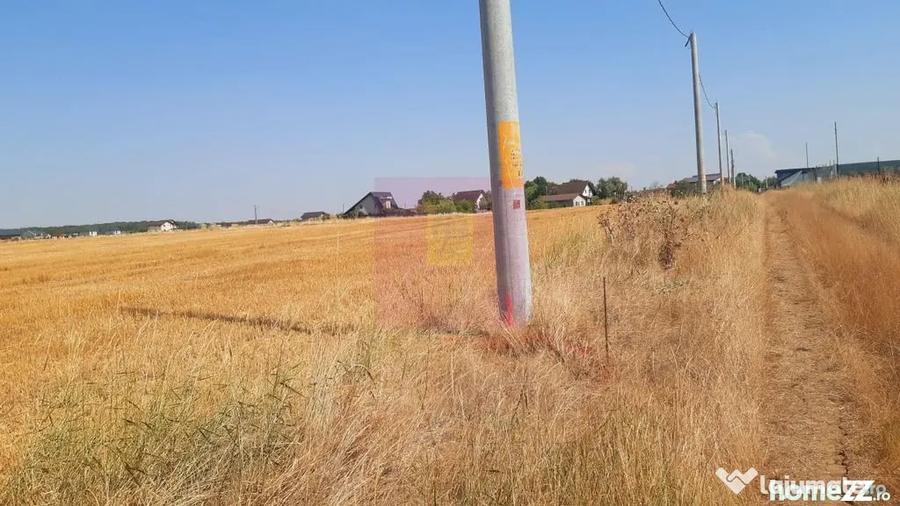 Teren de 2000 mp, în Brănești
