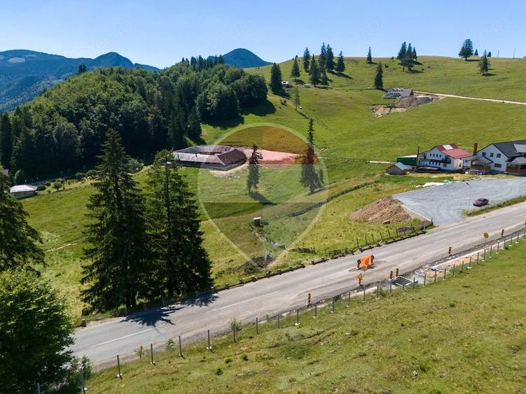 Teren de 52519 mp, în Dâmbovicioara