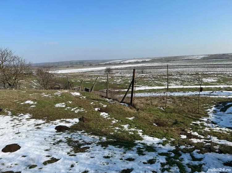 Teren de 1440 mp, în Murani