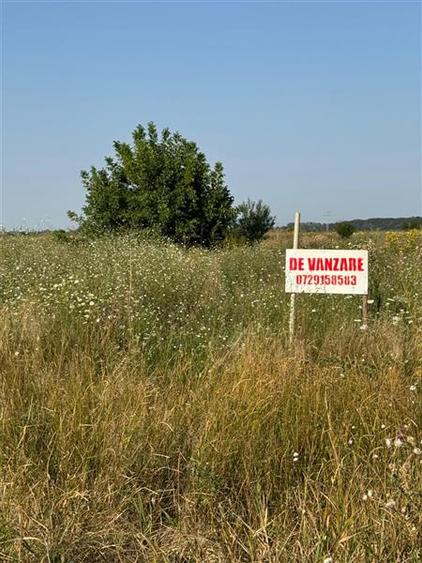 Teren Construcții intravilan de 800 mp, în 1 Decembrie