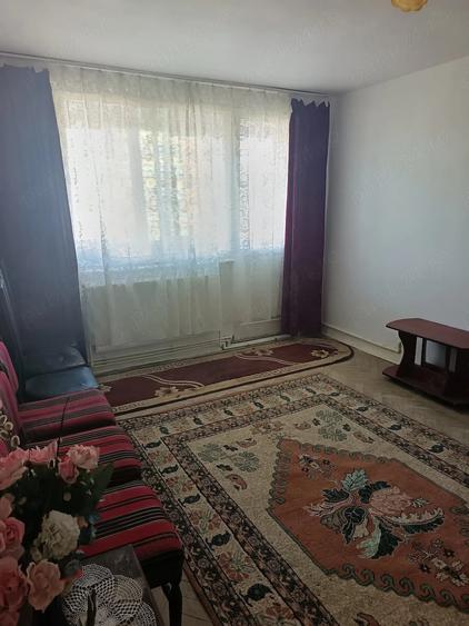 Vand apartament cu 2 camere pe Bulevardul Mihai Viteazul blocul D5. Pre? 19500 Euro negociabil. - 6