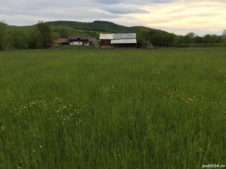 Teren de 30000 mp, în Crăcăoani