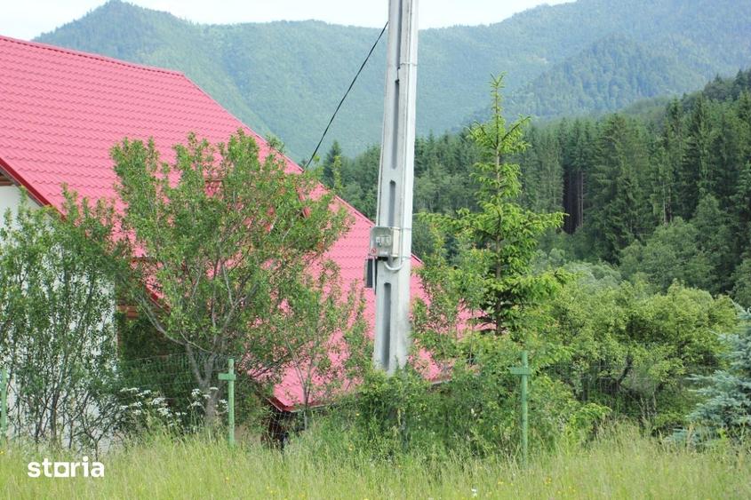 Teren de 7700 mp, în Tulnici