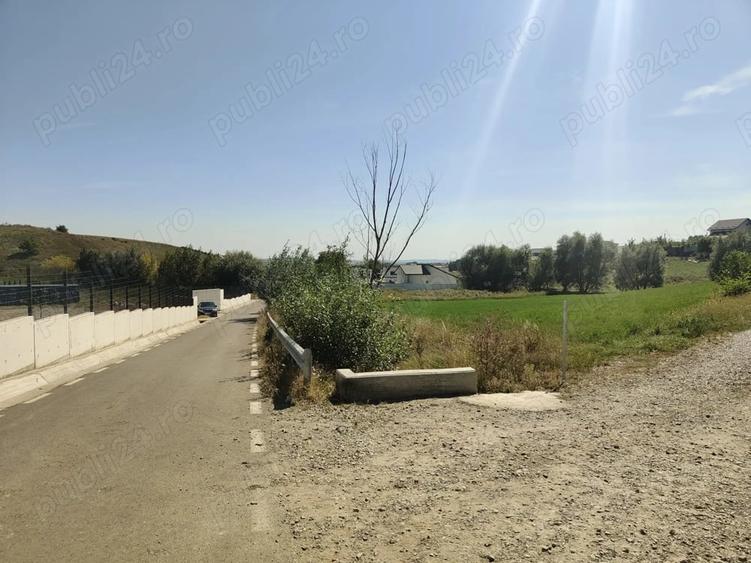 Teren de 3500 mp, în Moara