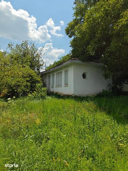 Teren de 5000 mp, în Horlești