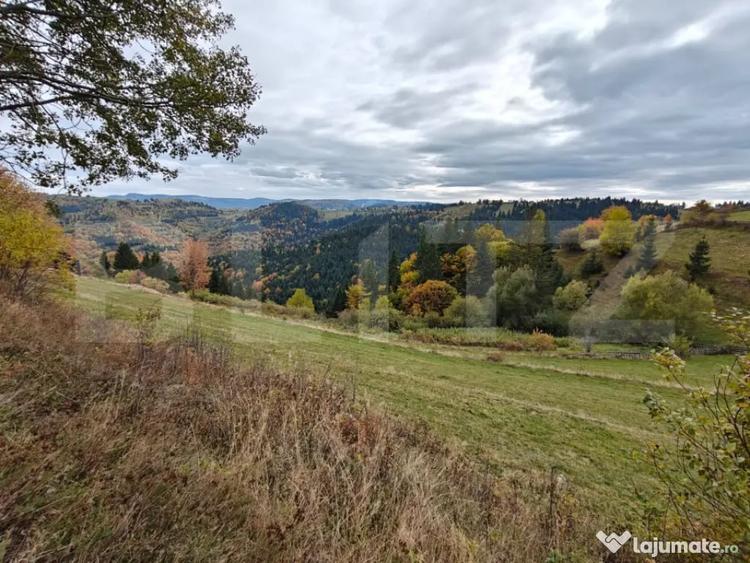 Teren de 6200 mp, în Florești