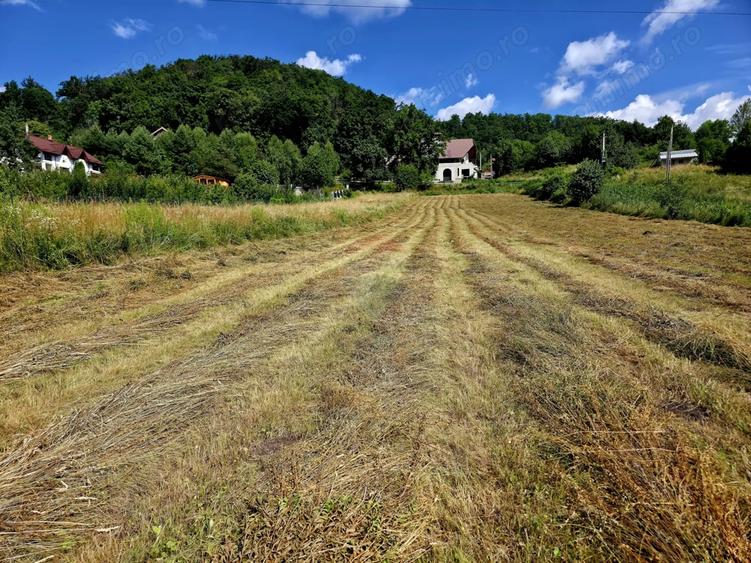Teren de 680 mp, în Viișoara