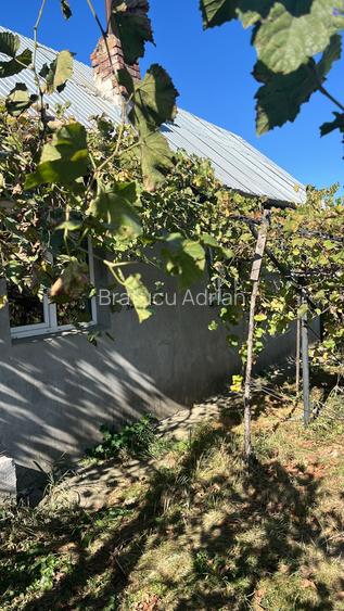 Casa cu teren 3.296 mp in Peris Ilfov Deschidere 23,81 m, potential parcelare la 30 km de Bucuresti