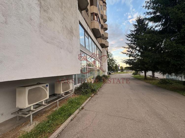 Spațiu comercial, de 1,541 mp, în Aradului