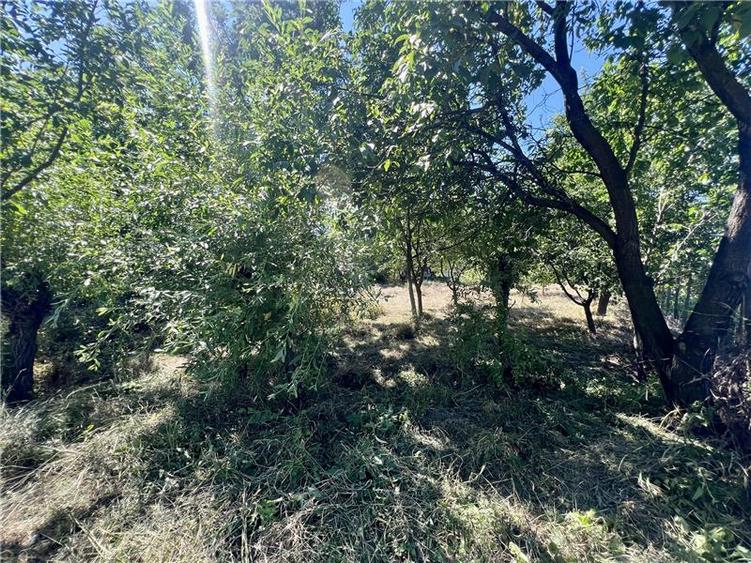 Vila  de vanzare Iasi Ciurea, Ciurea, - 13