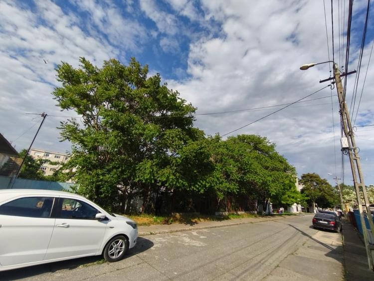 Spațiu comercial, de 276 mp, în Năvodari