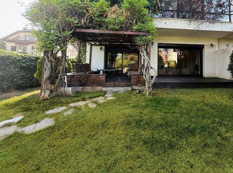 Vanzare Vila  Iancu de Nicolaie - 1