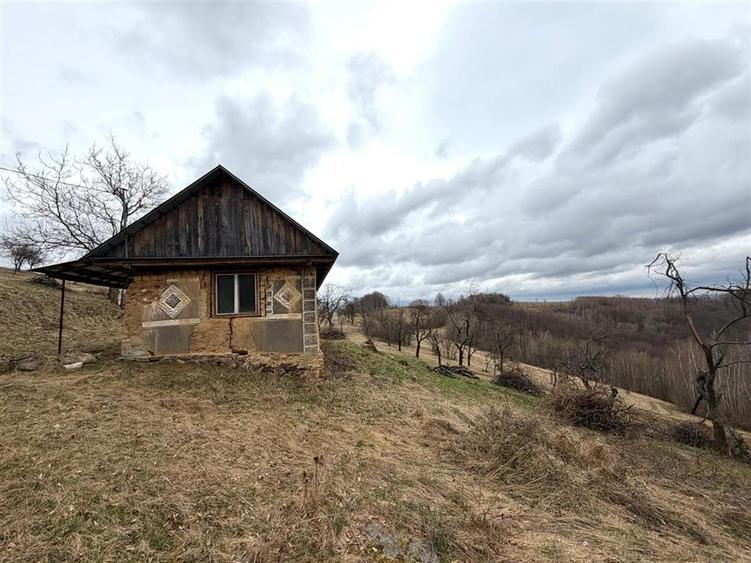 Teren agricol extravilan de 34000 mp, în Șerani