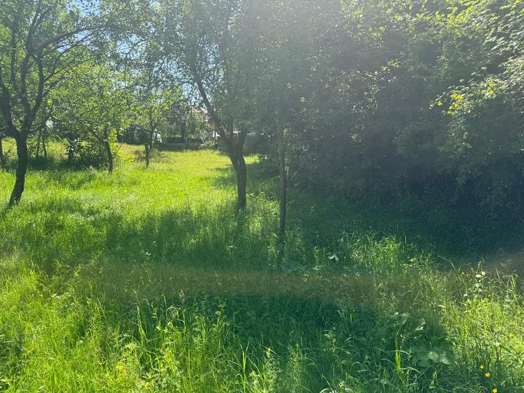 Teren de vânzare – Podul Cheii, județul Prahova – Zonă deosebită, în mijlocul na - 2