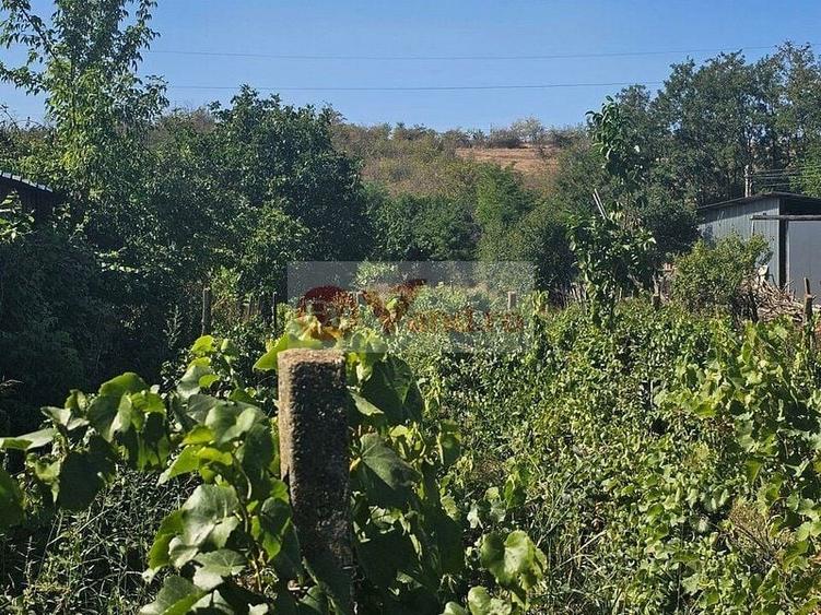 Teren agricol intravilan de 1800 mp, în Fârțănești