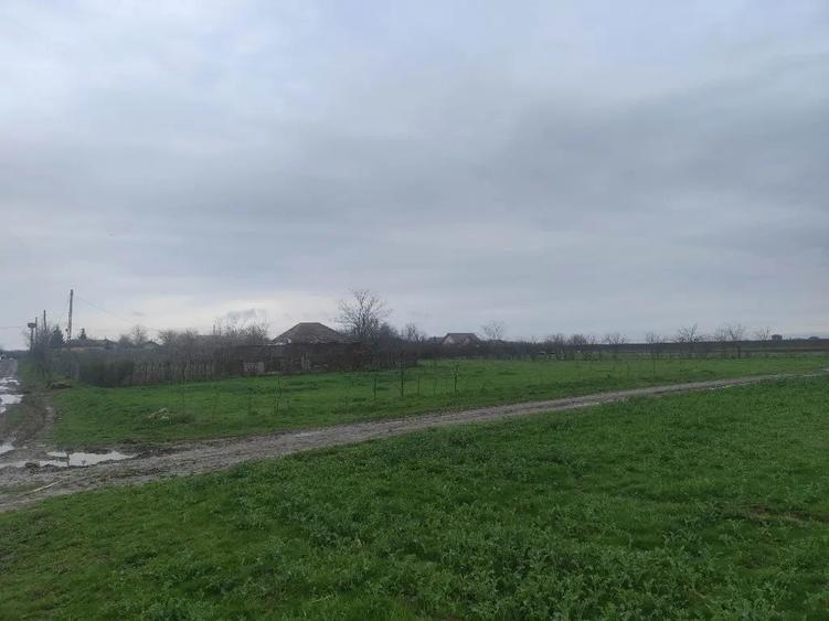 Teren Frumu?ani - direct proprietar 10000mp. - 1
