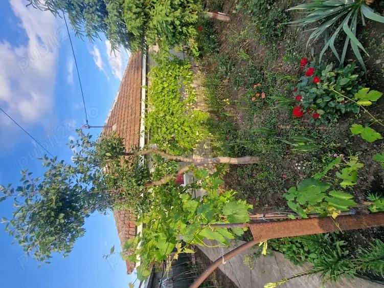 Schimb casa Slobozia Noua cu garsoniera confort 1 ,diferen?a la buna in?elegere! - 1