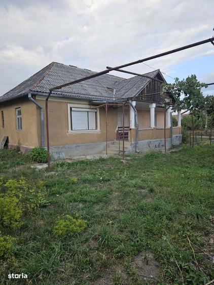 Casa de renovat + 2.900 mp teren, front 38 m potential constructie - 4