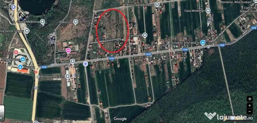Teren Snagov Vladiceasca 3300 Mp New 2025 - 1