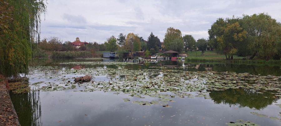 OAZA DE LINISTE SI RAFINAMENT LA MALUL LACULUI