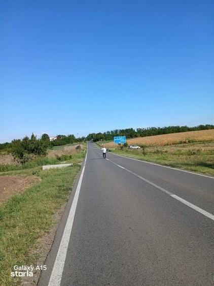 Teren de 1300 mp, în Belciugatele