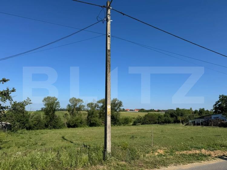 Teren Construcții intravilan de 2877 mp, în Lăzăreni