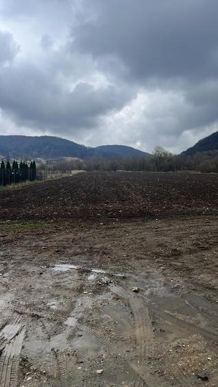 Teren Construcții intravilan de 6700 mp, în Albești