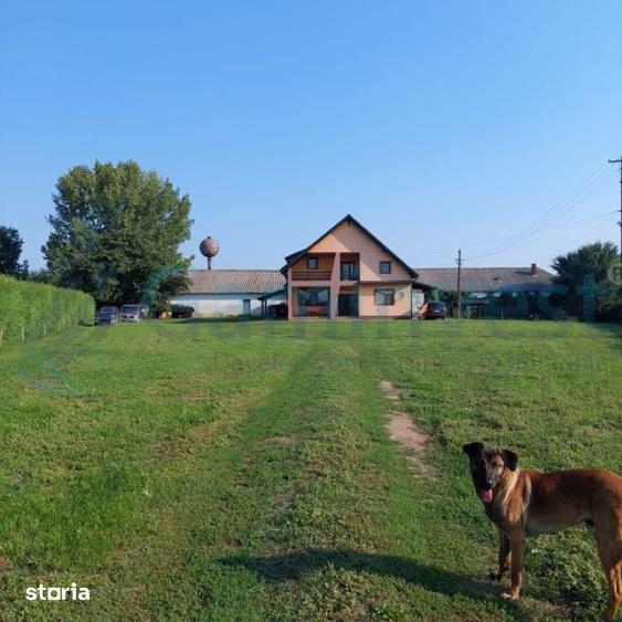 Casă cu 4 camere cu Teren 8300 Mp în Central