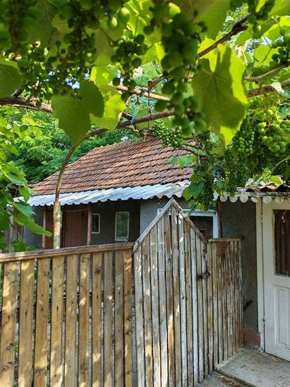 Casă individuală cu 6 camere cu Teren 1586 Mp în Cazasu