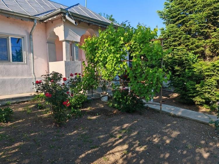Casă cu 4 camere cu Teren 3000 Mp în Central