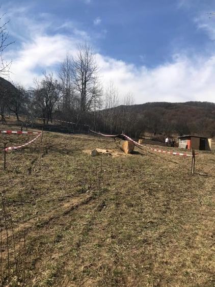 Teren Construcții intravilan de 715 mp, în Olănești