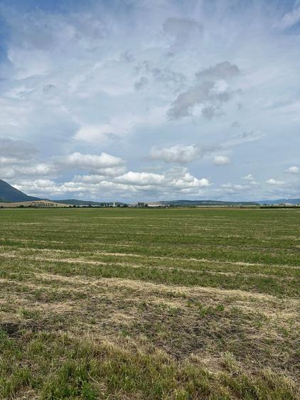 Teren agricol extravilan de 10000 mp, în Hălchiu