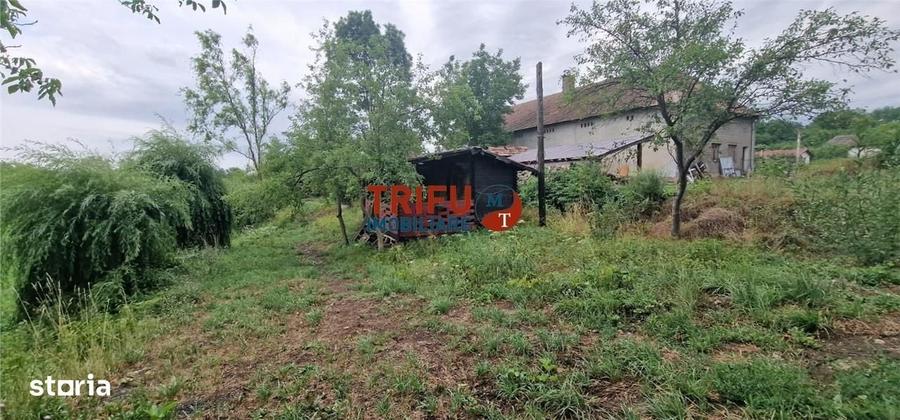 Spațiu comercial, în Mesentea