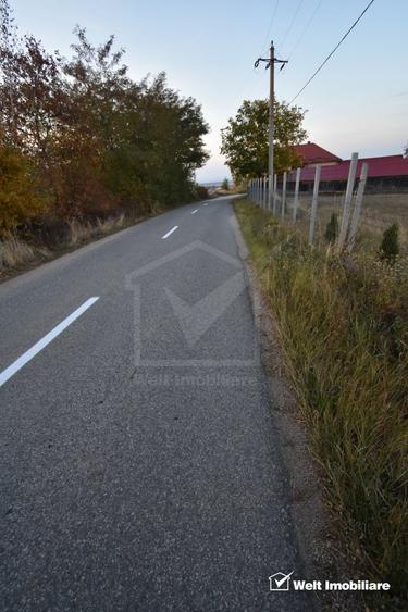 Teren Construcții intravilan de 2540 mp, în Dângău Mare