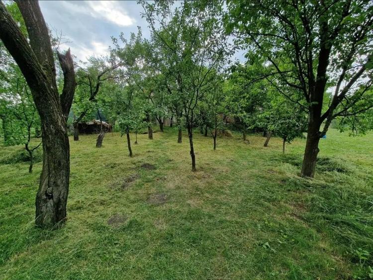 Teren de 1573 mp, în Central
