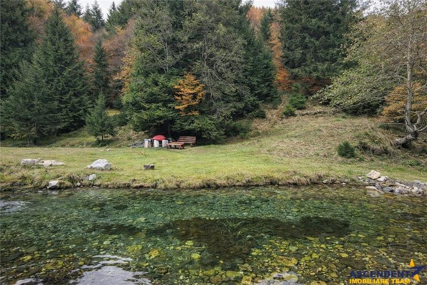 Teren de 4591 mp, în Zărnești