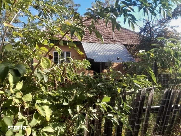 Casă cu 3 camere cu Teren 62 Mp în Albești-Paleologu
