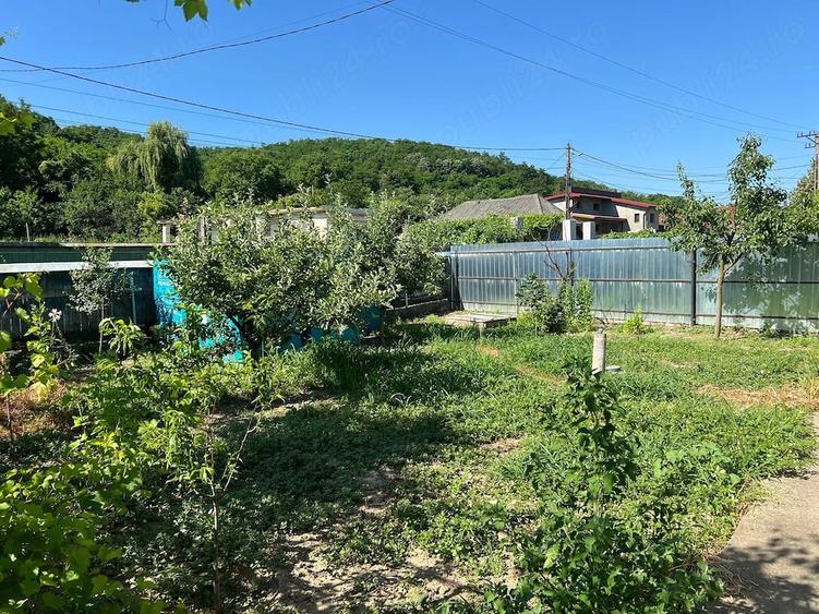 Casă cu Teren 1200 Mp în Central