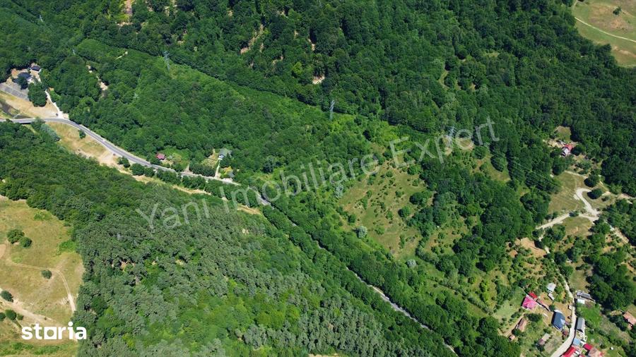 Teren de vanzare pe Transfagara?an ( 75.200 mp ) - 16