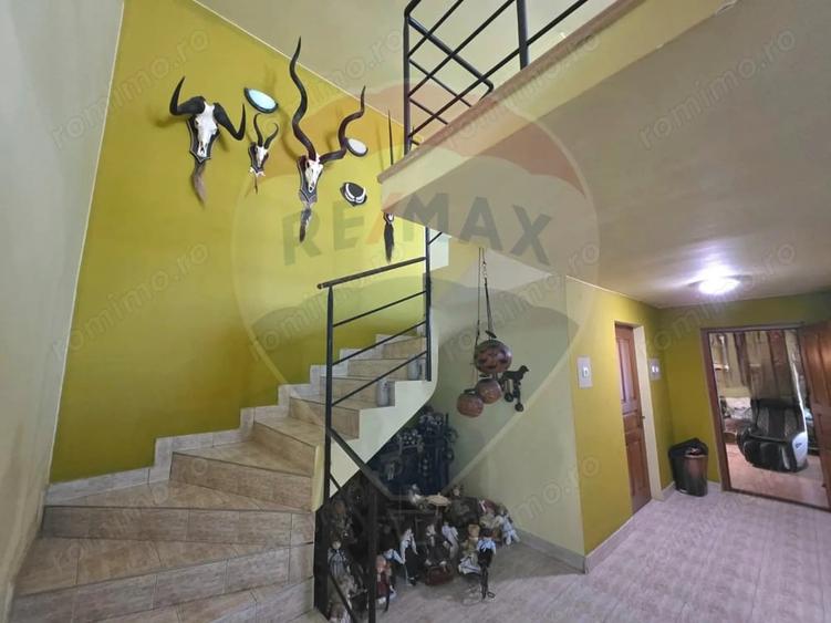 Casă cu 3 camere cu Teren 4534 Mp în Sud
