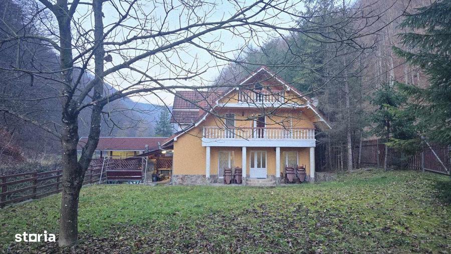 Casa/Pensiune,doua imobile intr-unul singur de vanzare, Bratca - 12