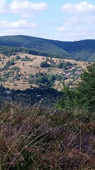 Teren de 1200 mp, în Central