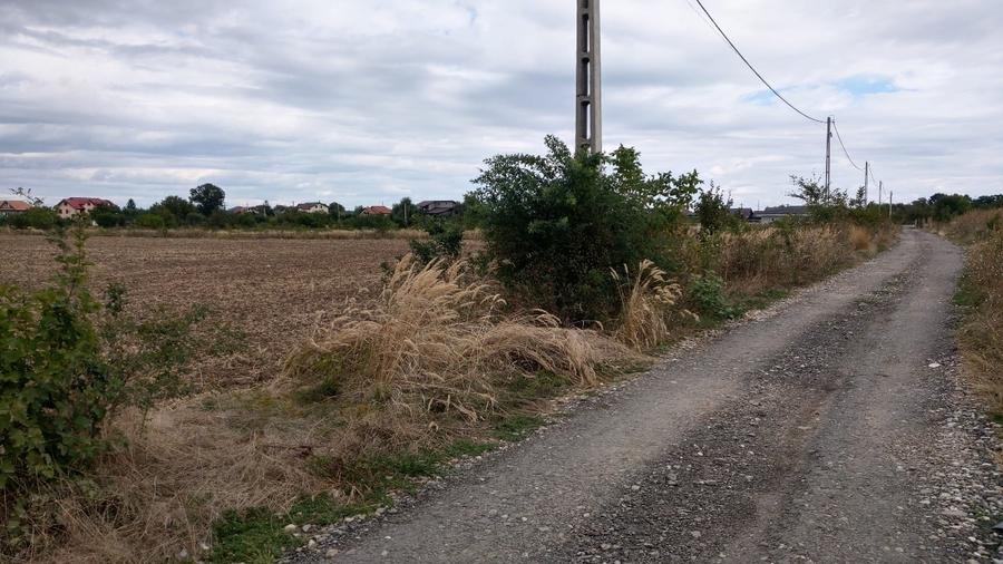 Teren Construcții intravilan de 10000 mp, în Balotești